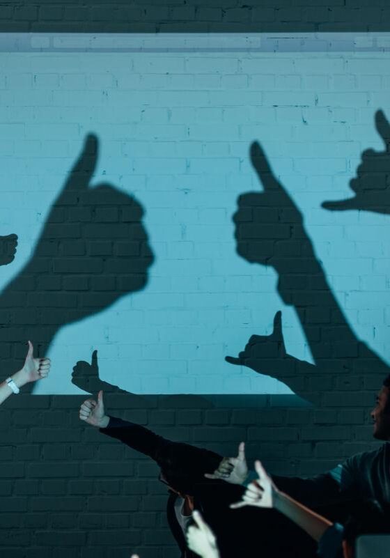 Coaching: Team coaching , Fastlane Business Coaching
